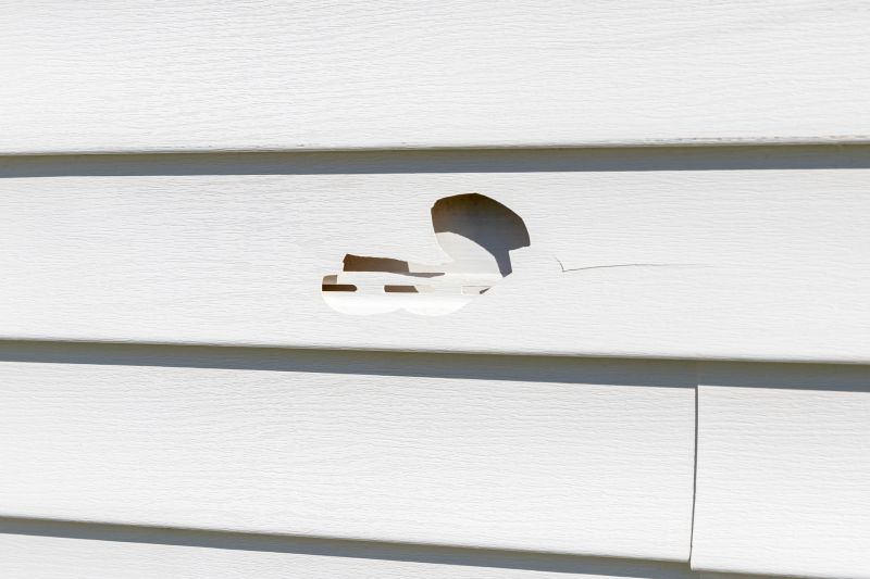 Vinyl Siding Repair Process Image 1