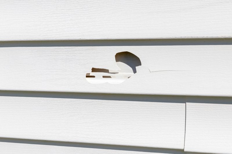 Vinyl Siding Repair Professional Image 3